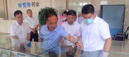 首页-BB贝博艾弗森公司官网